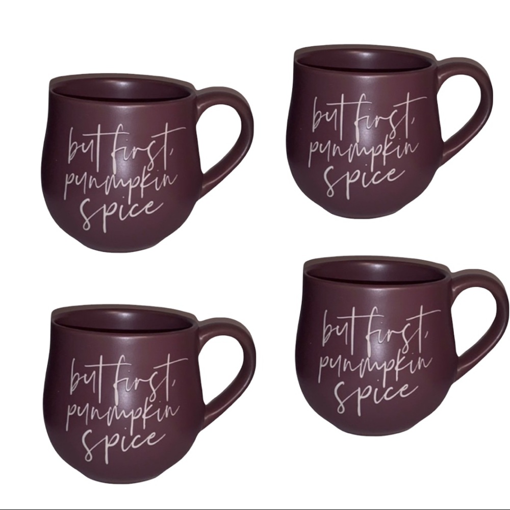 NWT Chapters Indigo Pumpkin Spice Purple Mauve Coffee Tea Mug Set of 4
